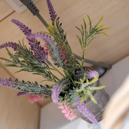 Charming Avenue Mostar