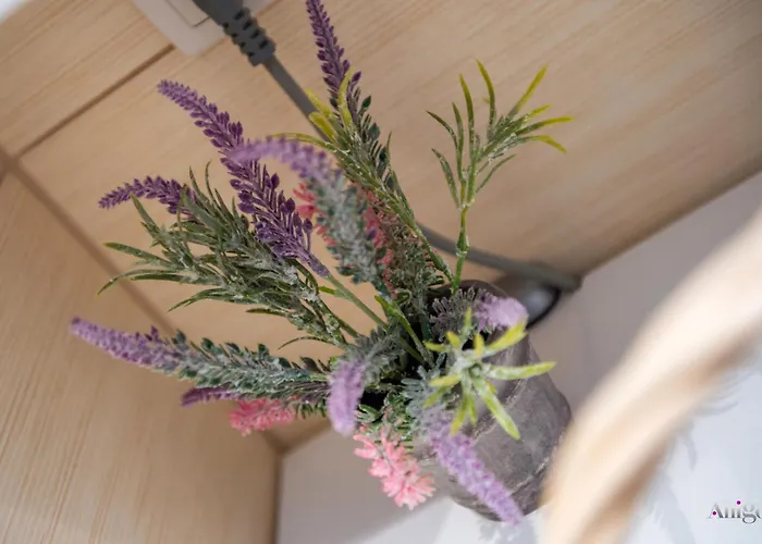 Charming Avenue Mostar